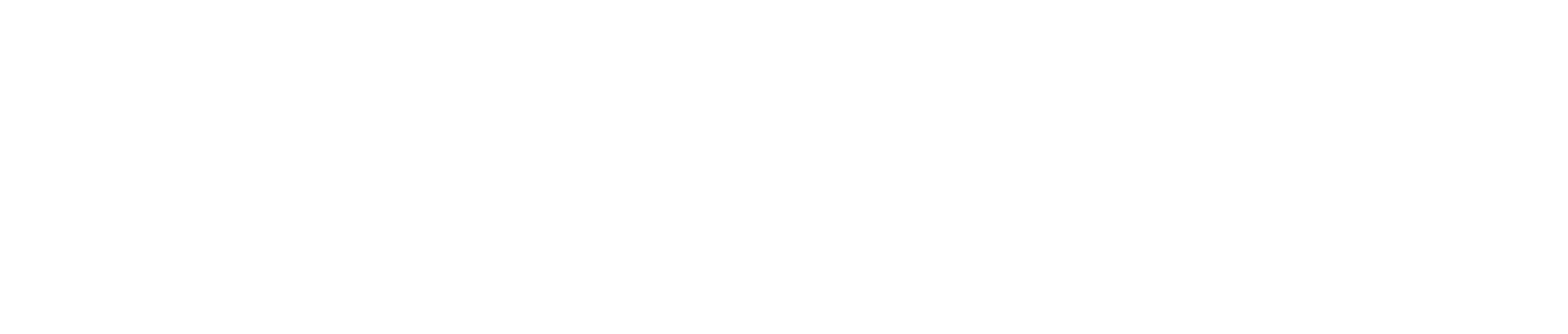 logotipo data voice en color blanco